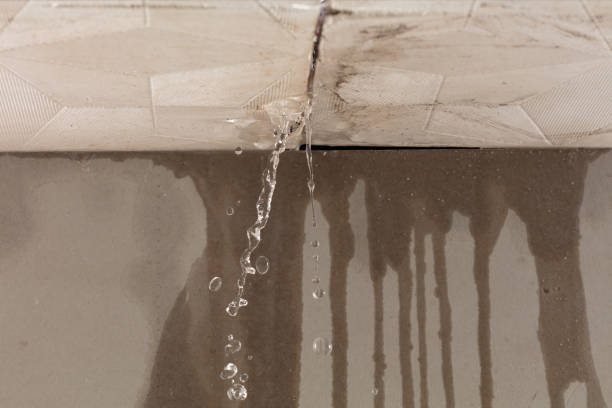 Professional Structural Drying technician working in Prospect Park, NJ
